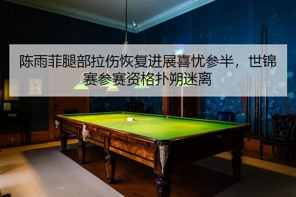 陈雨菲腿部拉伤恢复进展喜忧参半，世锦赛参赛资格扑朔迷离